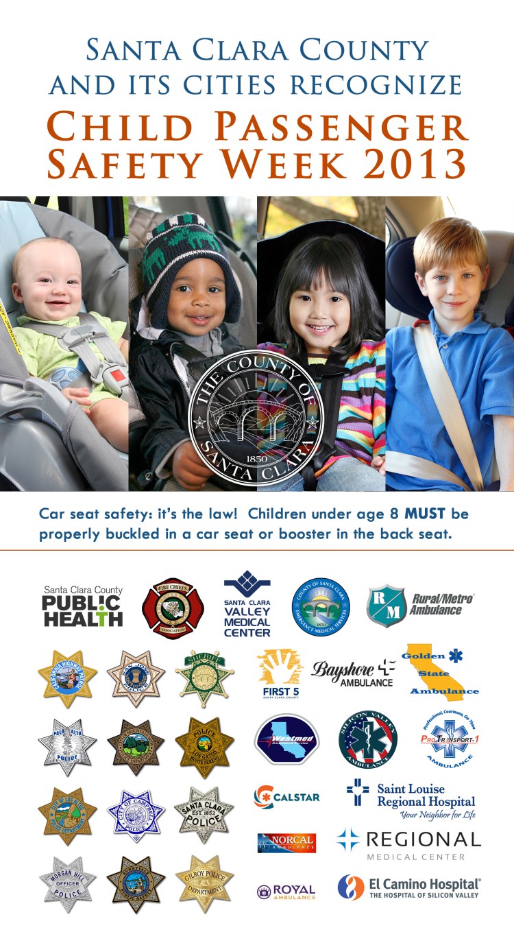 ChildPassengerSafety2013