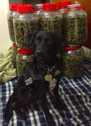 Zeus2
