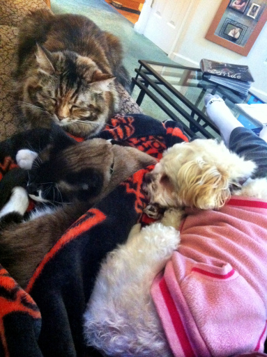 Truffles as seen in her pink sweater with family.