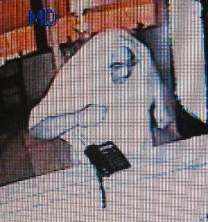 2629Suspect