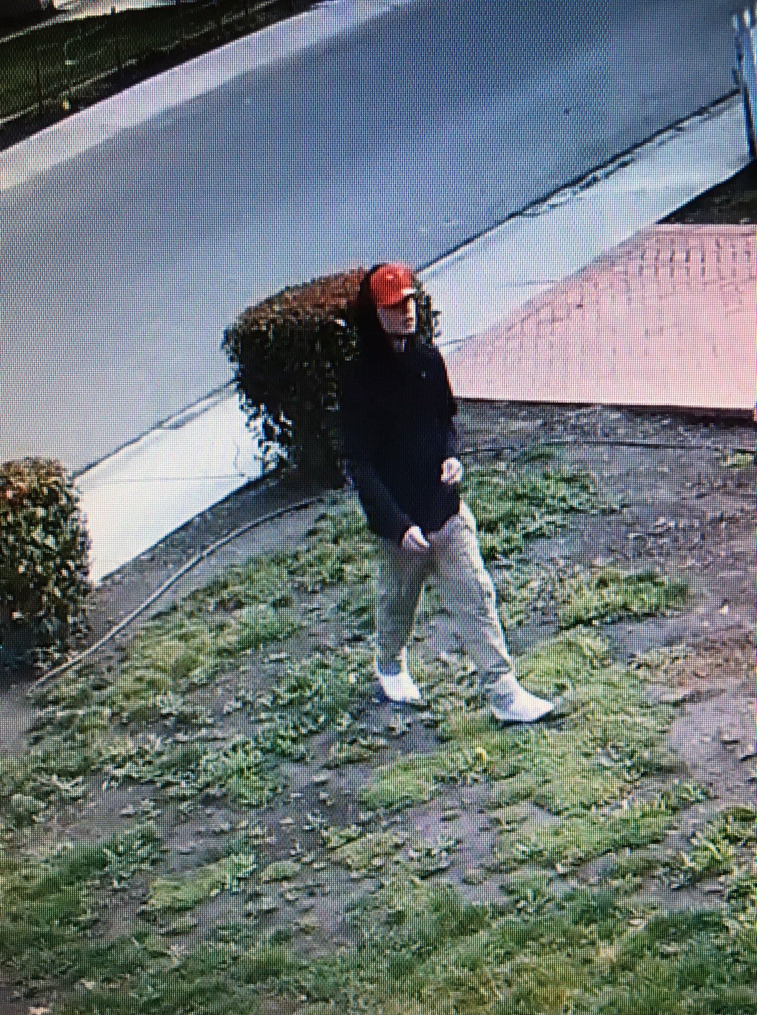 Male suspect package theft 1