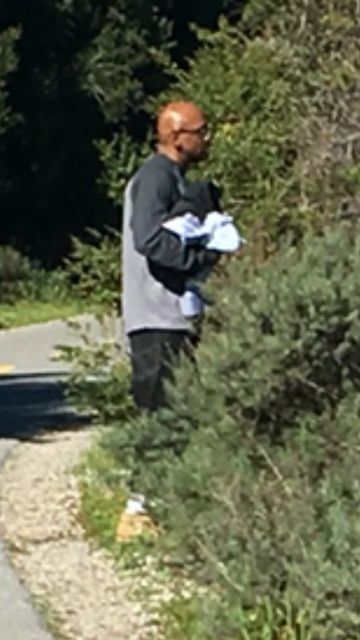 Stevens Creek perp