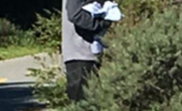 Stevens Creek perp